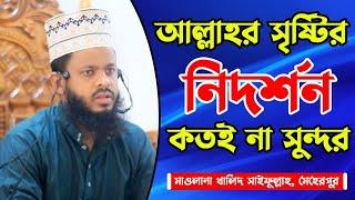 আল্লাহর সৃষ্টির নিদর্শন কতই না সুন্দর। Khalid Saifullah, Meherpur। Mazhar Waz Tv