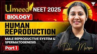 UMEED NEET 2025: Human Reproduction | Male Reproductive System & Spermatogenesis | Tulika Jha