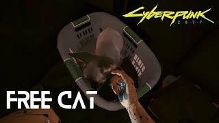 How to get a cat? | Cyberpunk 2077 Guide