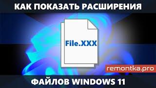 Как показать расширения файлов Windows 11 (2 способа)