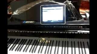 Jim Steagall at the Player Piano Guys installs #QRS system inside Taylor Piano