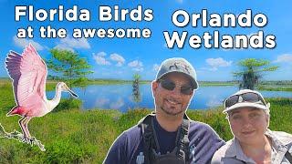 Florida Birds at the Awesome Orlando Wetlands