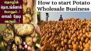 Potato wholesale business ideas | Potato business | Vegetable wholesale business | Potato business