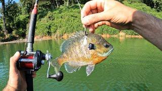 4 Hours of RAW and UNCUT Live Baiting for GIANT Flathead Catfish | Kayak Catfishing