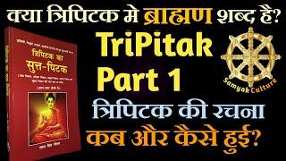 ️ 14: क्या त्रिपिटक में ब्राह्मण शब्द की मिलावट हुई?  Tripitaka Part1 | Evolution of Tripitaka