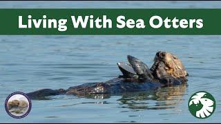 Living with Sea Otters: A New Look at Coexistence with a Recovering Species