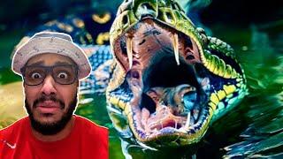 Would You Survive an Encounter With Titanoboa?