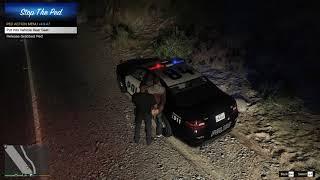 LSPDFR 2021 | COPS RP | VisualV | Traffic stop | Cop Missions