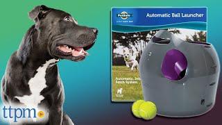 Our Pups Tested The AUTOMATIC Ball Launcher from PetSafe!  - Is It REALLY Worth It? | TTPM