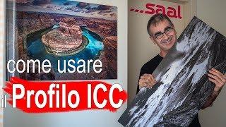 Stampare Senza Sorprese con i Profili ICC – Recensione Fotoquadro Saal Digital