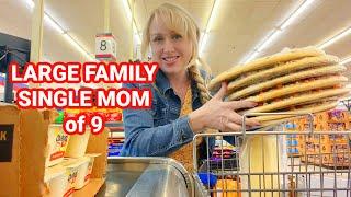 Shop with Me at America's Cheapest Grocery Store March 2025