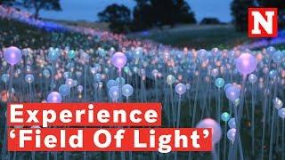 Experience The Field Of Light At Sensorio Created By Installation Artist Bruce Munro