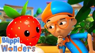 Blippi Wonders | Learn Fruit and Vegetables + More! | Blippi Animated Series | Cartoons For Kids