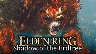 BÄR & Thiollier Questline fortsetzen | SHADOW OF THE ERDTREE (Part 15)