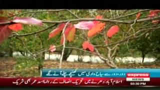 Autumn in Swat Valley Report by Sherin Zada