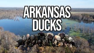 OPENING DAY! ARKANSAS Duck HUNTING!!