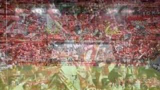 1.FC Köln für immer