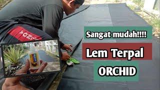 CARA MUDAH MENYAMBUNG TERPAL ORCHID DENGAN LEM//WPPERTANIAN