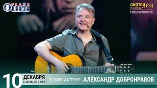 Александр Добронравов. Концерт на Радио Шансон («Живая струна»)