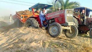 MF 385 tractor stuck in sand with trolley Belarus tractor pulls for help