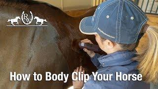 How to Body Clip Your Horse