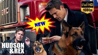 Hudson & Rex Season  Hudson & Rex full episodes 2025 New Today  Hudson & Rex Full Episode #A81