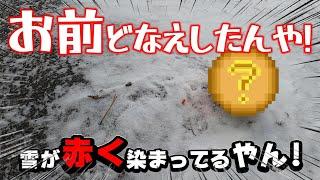 【特別movie】メリークリスマスin高野山で遭遇…オイ!大丈夫かえっ事故に遭ったんか‼️