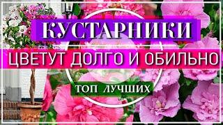 ТОП 5 Самых МОДНЫХ Цветущих Кустарников - НАХОДКА для Вашего Сада