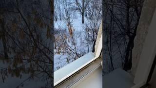 Сбросил пакет с водой #зима #прикол #пакетики #пакеты #пакет #вода