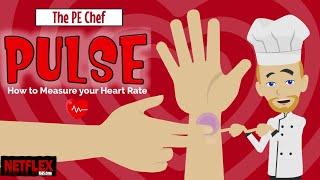 PE Chef: Pulse- How to Measure your Heart Rate (video lesson with worksheet)