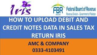 HOW TO UPLOAD DEBIT AND CREDIT NOTES DATA IN SALES TAX RETURN IRIS