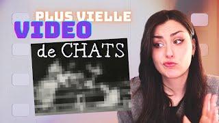 La toute 1ère vidéo de chats de l'Histoire ? 