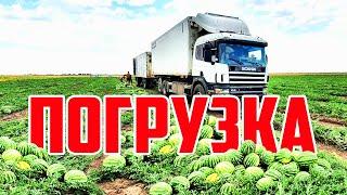 Погрузка 07 08 20