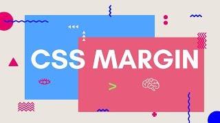 What is margin in CSS? | CSS Margin property