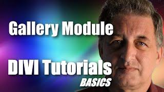 #13 DIVI Theme Tutorial for Beginners -  DIVI Gallery Module