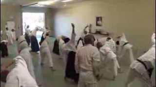 Castle Rock AIKIDO Homepage Vid