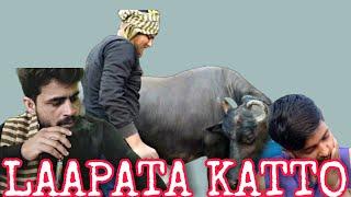LAAPATA KATTO | Funny Short Film By Harami BoyZ | 2021