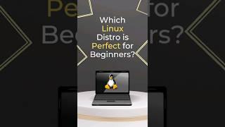 Which Linux Distro is Perfect for Beginners? #linux