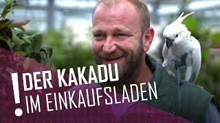 Vogel Papa Jörg nimmt seinen Kakadu mit zur Arbeit | DER TIERISCHE DONNERSTAG | Kamera Zwei