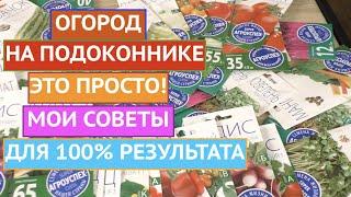 ГЛАВНЫЕ ПРАВИЛА ОГОРОДА НА ПОДОКОННИКЕ! КАК ПОЛУЧИТЬ ХОРОШИЙ УРОЖАЙ