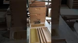 Wedge Style Frames vs Grooved style Beekeeping Frames