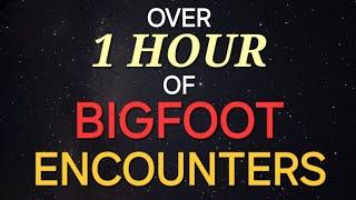 OVER 1 HOUR OF BIGFOOT ENCOUNTERS