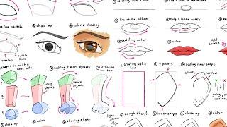 How to draw eyes, nose, mouth and ears