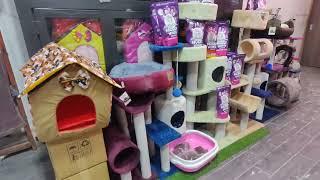 Pakistan Number One Pets Shop | Best Pets Shop | Animals World | Pets Center Pets Clinic #HamzaAslam