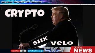 TRUMP Crypto Is The Future of Money.  Tokenization on #XRP #Telcoin Mike Flood