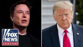 Trump sides with Elon Musk on H-1B visas following criticism: 'A great program'