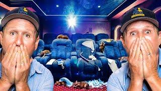 $100,000 home theatre being DESTROYED by mice...