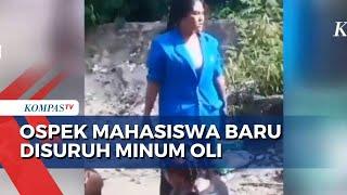 Viral! Mahasiswa Baru Politeknik Kupang Diduga Dipaksa Senior Minum Oli saat Ospek