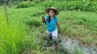 CUACA CERAH ! SAAT NYA KESAWAH CARI IKAN