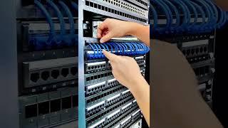 Are you happy at work? #Network cabling, #network engineering,  #routers, #switches #networkNectar